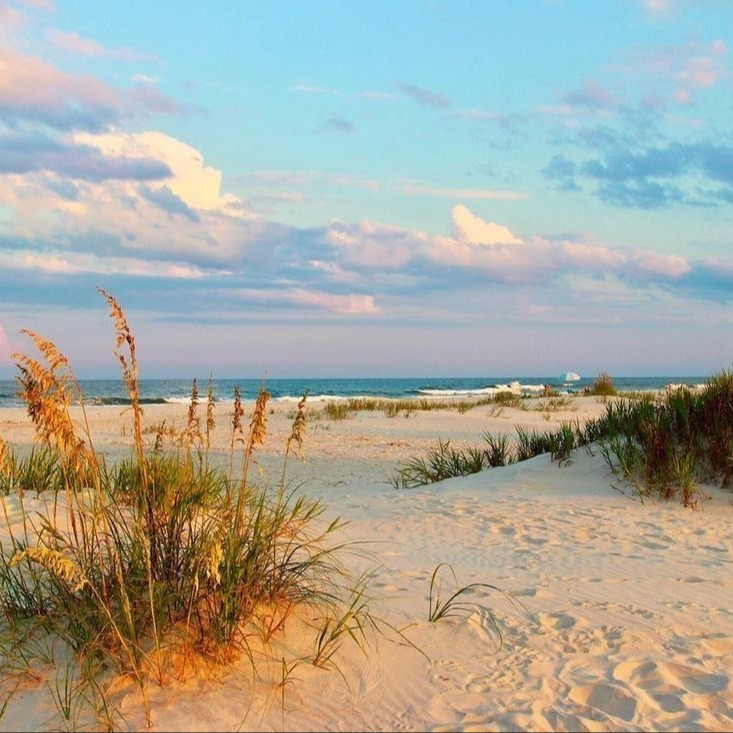 Photo de Bertrand MEUNIER